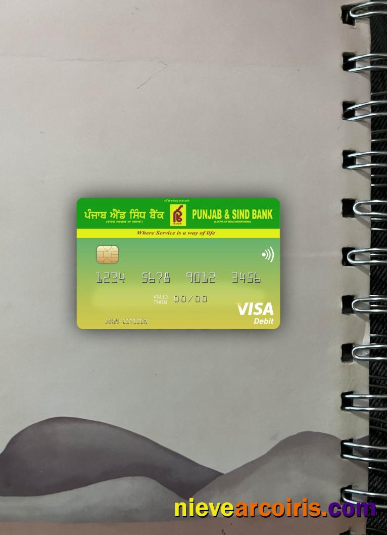 India Punjab and Sind Bank visa photolook